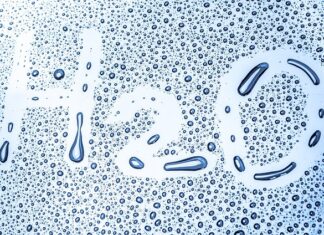 Kiedy Polska dołączyła do WHO?