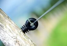 W jakim kraju mieszka najmniej Polaków?