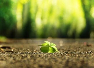 Jak znaleźć sens życia po 50?