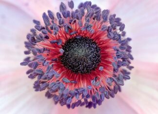 Jakie są prawne konsekwencje naruszenia praw autorskich?