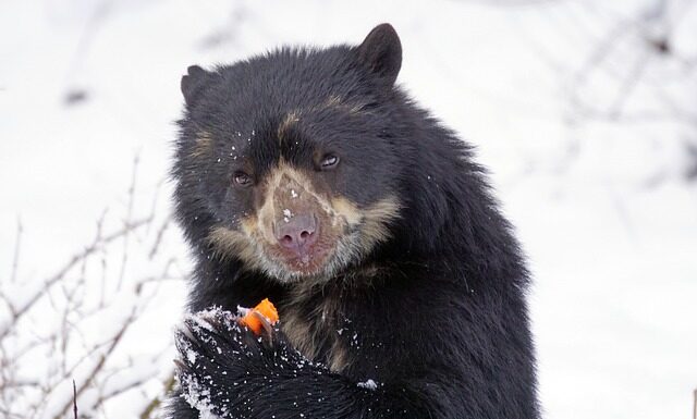 Ile jest rezerwatów przyrody?