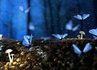 Czy faktura jest tajemnica przedsiębiorstwa?