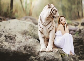 Jakie są motywy ochrony przyrody w Polsce?