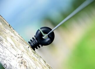 Gdzie mieszka najwięcej Polaków na świecie?