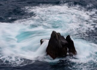 Jaka jest cena paliwa w Australii?