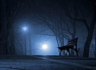 Czy polski urząd skarbowy informuje niemiecki?