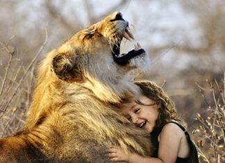 Jakie polecacie gry online?