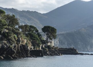 Ile kosztuje kurs na animatora?