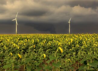W jakiej kolejności należy wykonywać testy?