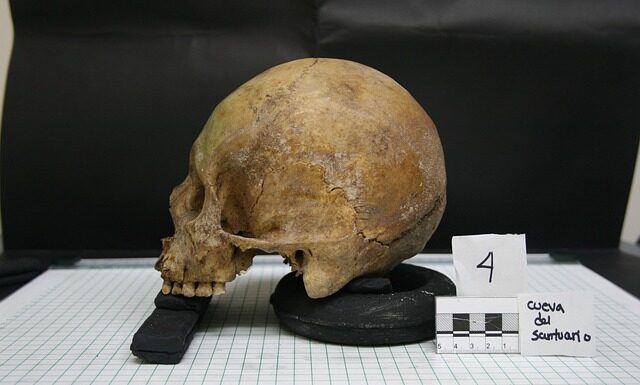 Jakie są Antropologie?